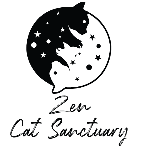 Felv cat hot sale sanctuary